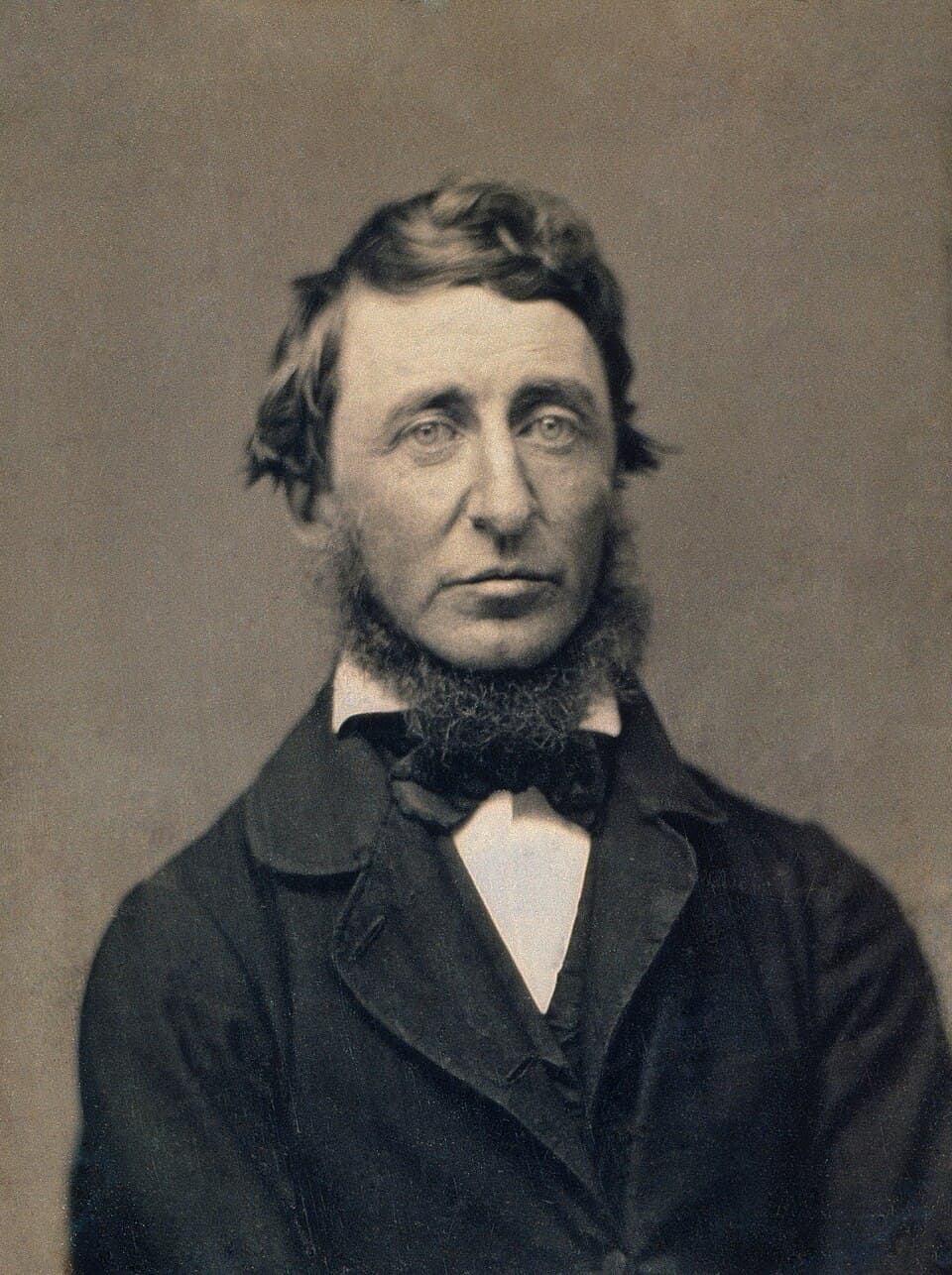 Daguerreotype of Henry David Thoreau by Benjamin Maxham, 1856